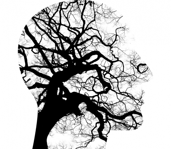 La psicoterapia è...
