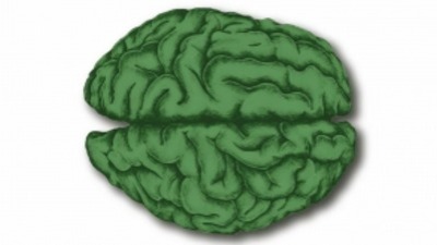 Festival di Neuroetica e del Cervello Sociale (V ed.)
