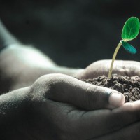 Cambiamento climatico e ansia
