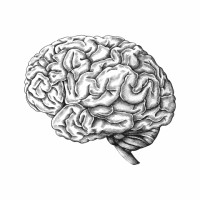 Intersezioni tra Endocrinologia e Psicoterapia