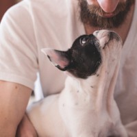 I benefici di vivere con un animale domestico