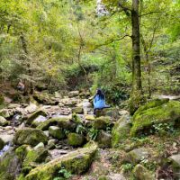 Bene-Dire ● Meditazione nel bosco e scrittura ispirata