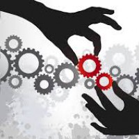 Il Coaching: Consulenza e Processi Organizzativi (2a ed.)