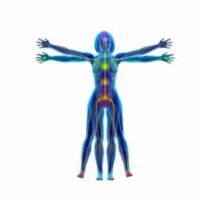 Il Sé Corporeo: Cervello, Emozioni e Mindfulness Psicosomatica