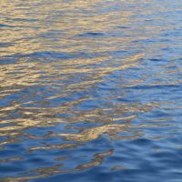 Mind Self-Compassion
