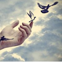 Lascia andare: Attaccamento nel ciclo di vita