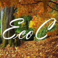 EcoCounseling nel bosco