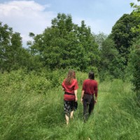 EcoCounseling nel bosco