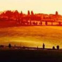 Psicoroad: a spasso nella psicologia