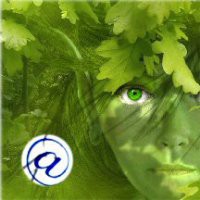 Introduzione all'Ecopsicologia