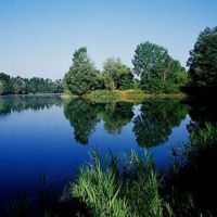 Incontri di gruppo Mindfulness