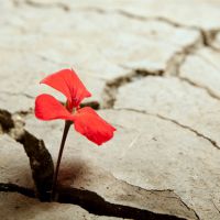 Criminologia e Vittimologia Clinica e Forense