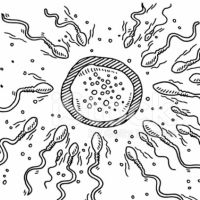 Infertilità maschile: fattori di rischio e risvolti psicologici