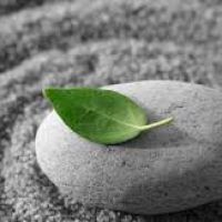 Seminario di introduzione alla mindfulness