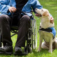 Interventi Assistiti con Animali