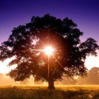 Viaggio al centro di se stessi: tra fantasia, corpo e integrazione.