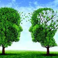 La Programmazione Neuro Linguistica (PNL) nelle professioni sanitarie