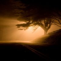 Quando venire alla luce, nasconde qualche ombra