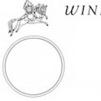 Progetto Windhorse
