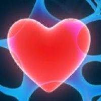 mBit Coach Certification