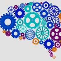 La valutazione neuropsicologica dell'adulto e dell'anziano