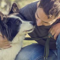 TAA/EAA (Interventi Assistiti con Animali)