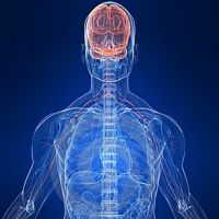 Psiconeuroimmunologia: Mind-Body-Brain