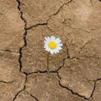 Prevenzione e gestione del rischio suicidario