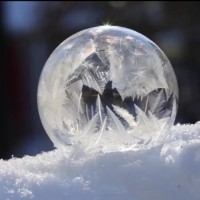 Siamo parte di un universo morfogenetico?