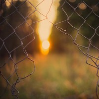 L'Esperienza ipnotica in psicoterapia