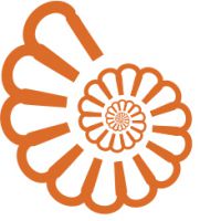 C.O.I.R.A.G. Scuola di Specializzazione
