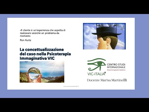 La concettualizzazione del caso con il VIC